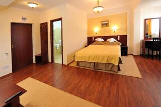 Отель Casa Maria Arges Питешти Двухместный номер «Комфорт» с 1 кроватью или 2 отдельными кроватями-18